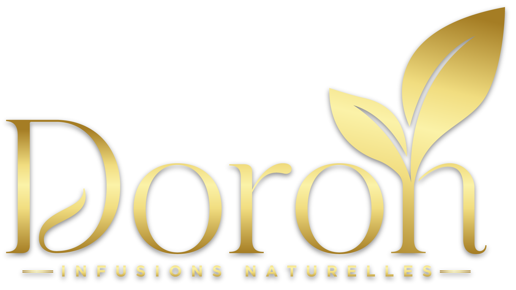 Doron-Logo-Final-Transparent