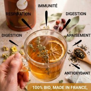 HIVERNAL – La Fortification